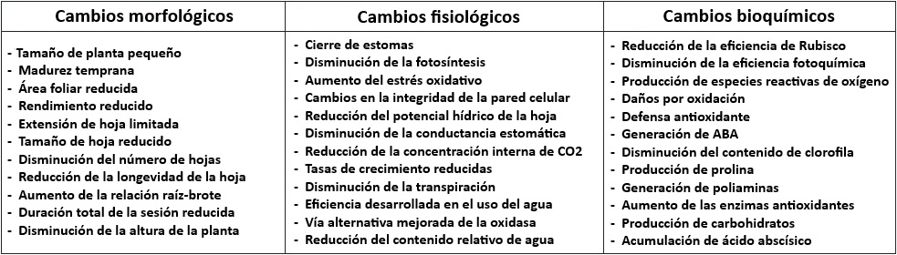 tableau esp