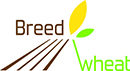 Florimond Desprez hosts BreedWheat