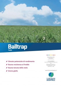 Balltrap