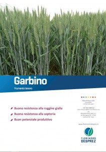 Garbino