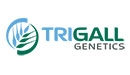 Florimond Desprez and Bioceres created the TRIGALL Genetics company