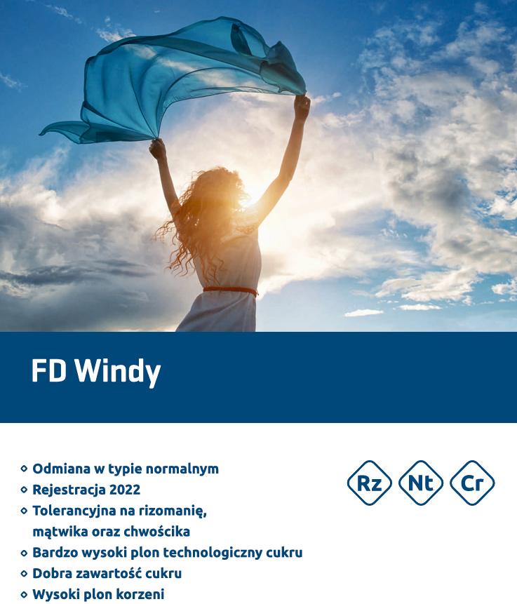FD Windy