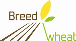 Florimond Desprez accueille Breedwheat