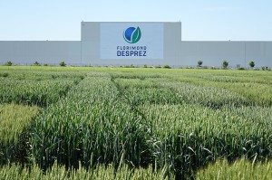 Gamme Bio 2019 Blé Tendre et Triticale