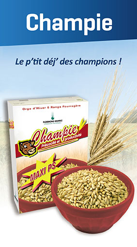 Champie