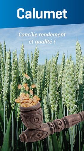 calumet_VISUEL