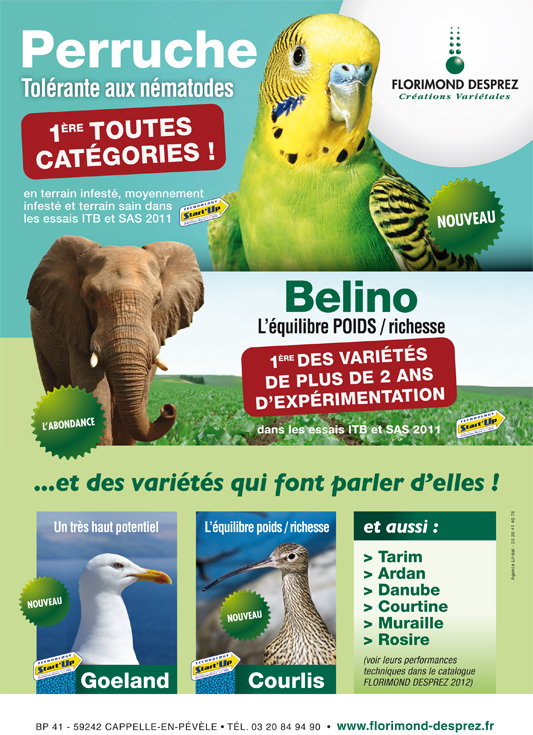 mailingperruche-et-autres (1)