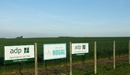 Nogal, variété de Blé leader en Uruguay