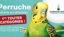 Betterave Sucrière tolérante Nématodes et Rhizomanie : Perruche