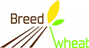 logo breedwheat