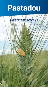 visuel Pastadou