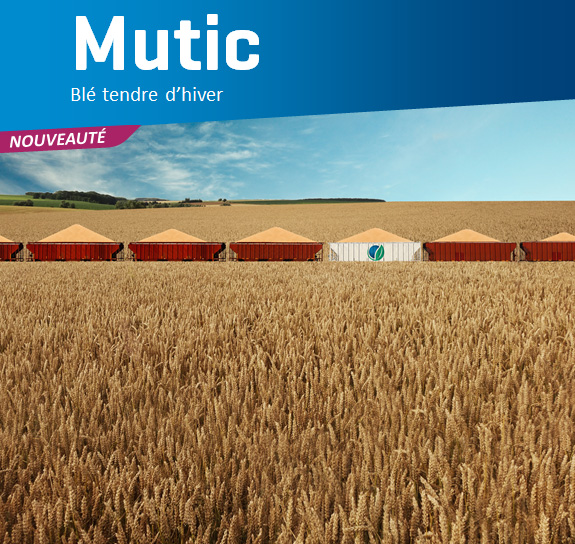 Mutic