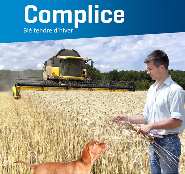 Complice-visuel