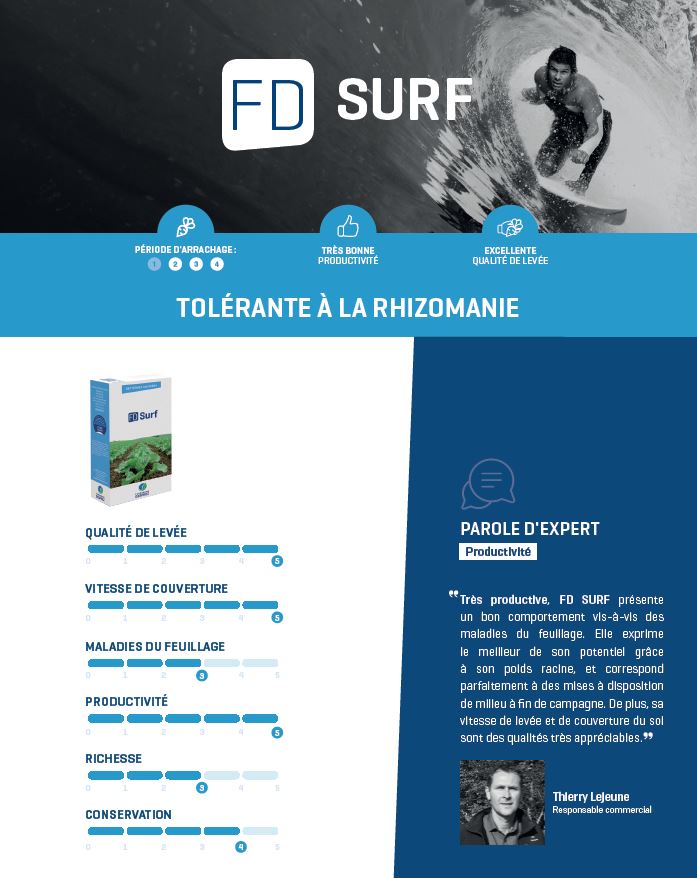 FD Surf