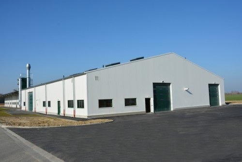chevreuil-actu