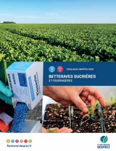 Le catalogue Betteraves 2020 est disponible !