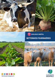 Découvrez notre catalogue Betterave fourragère