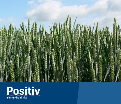 Positiv
