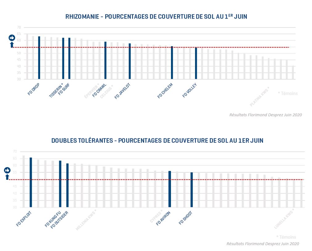Graphes site internet couverture