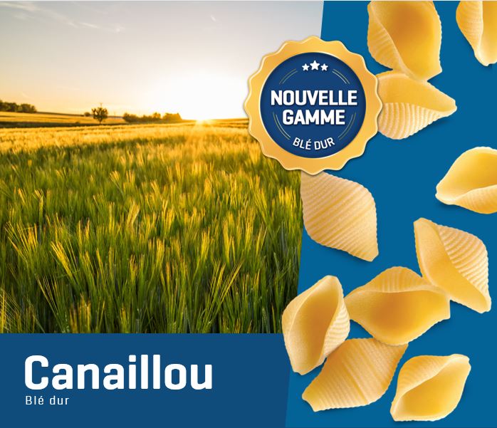 Canaillou